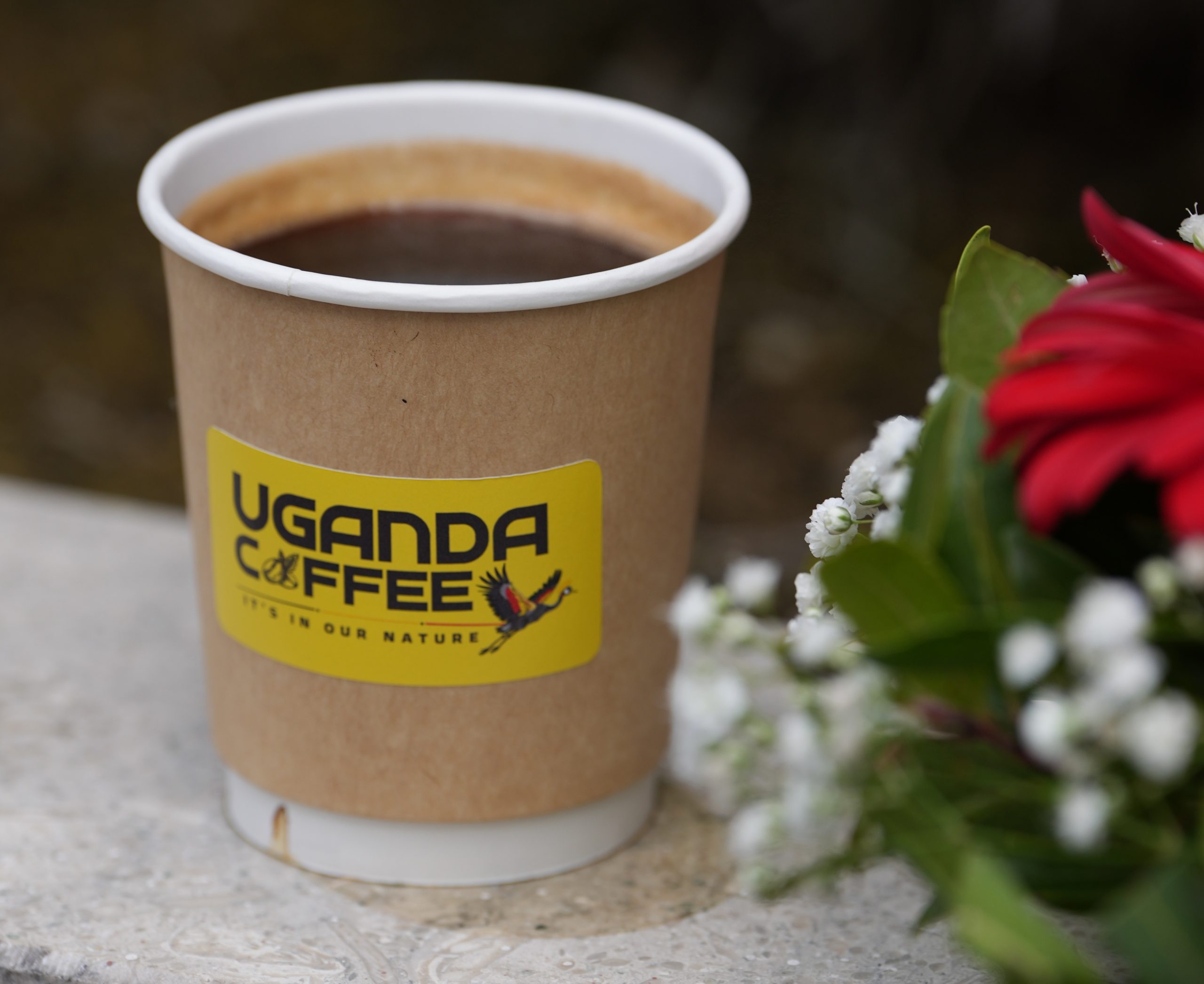 Uganda coffee on display in Tukiye